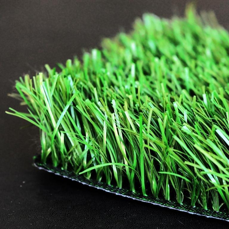 trava-gollandija-edel-grass-future-60mm.jpg